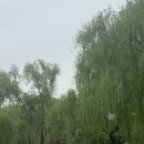 천운고향집 이미지