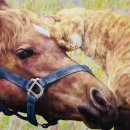 갤러리윤 이미지