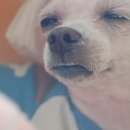 은지네식당 - 중구 | 은지네식당