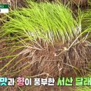 김동안농장 이미지