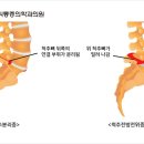 연세원마취통증의학과의원 이미지
