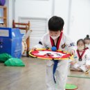 용인대 효 태권도 이미지