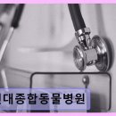 현대종합동물병원 - 원주시 신지정로 153-15 | 현대종합동물병원