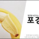 가든비뇨기과의원 이미지