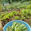 목수와 시인 이미지