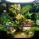 비바리움매니아 이미지