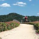 외리로-2 이미지