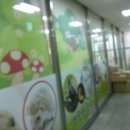 도리순이 이미지