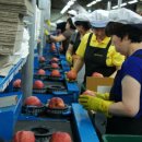 청송농협 APC 이미지