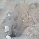 장호항바다랑펜션 이미지