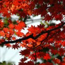 노적봉길 이미지