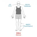 예술로3R | 송도PT 보행교정 및 발 기능을 향상시키는 MOFLEX 모플렉스 효과 및 구매 후기