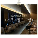 깔깔이떡볶이 | [경기/고양] 고양 스타필드 찜질스파 아이들과 오기 좋은 “아쿠아필드” 내돈내산 방문후기👏