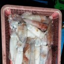 대영호 네이버블로그