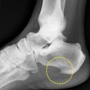 서울진마취통증의학과의원 이미지