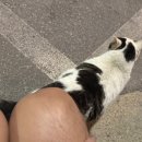 강릉바이크렌트