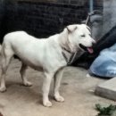 월남농장 이미지