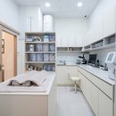 폴라동물병원 이미지