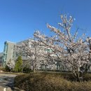 (주)씨제이프레시웨이 인천세종병원점 | 4월 첫째주 일상 : 인천세종병원 / 담순대 계산점...마곡본점 / 역전할머니맥주 서울발산역점 / CGV 계양