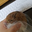 서서히 메말라가는 무신경한 감정과 새로운 신경통을 안고 살아가는 한 주의 일상(~22. 05. 08)