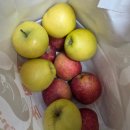 노들섬 | 서울미식주간 노들섬 팝업 방문 후기