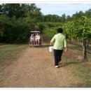 희은농장 이미지