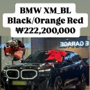 BL모터스 이미지