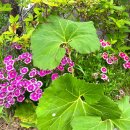 세상사는이야기 이미지