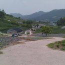 근촌도요 Daum카페