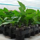 동안농장 이미지