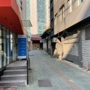 서촌도그살롱 이미지