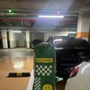 스컬독 | 골프 항공커버 스컬독 일반 스탠드 바퀴형에 모두 가능하네요(내돈내산 이용후기)