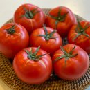 방울하우징 | 매일 아침 건강 쥬스용 식단 준비를 위한 완숙 대추 방울토마토 국산 특품 후기