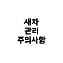 유량세차장 | 새차를 샀을 때, 손세차와 썬팅관리 등 꼭 알아야 할 점