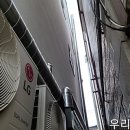 진영정육점