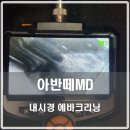 포니카디테일링
