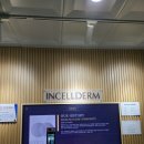 인셀덤비치나