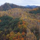 수산리-9 Daum카페