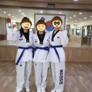 용인대 현대태권도장 이미지