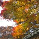 마곡산장여관 | 마곡사 1 - 충남 공주