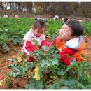 해오름농장-1 이미지