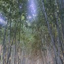 하늘오름마실 이미지