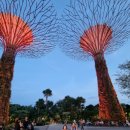 (주) 수퍼트리 이미지