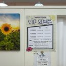 모이찌 - 11856 | 모이찌