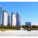 군자대한곱창 부평역점 이미지