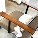 다옴헤어 - 남구 수영로 185-10 | 다옴헤어
