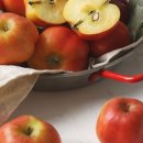 영주농장 이미지