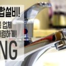 신방한라동백@ 2 이미지