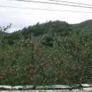 동일농원 이미지