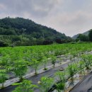 ㈜수도환경 이미지